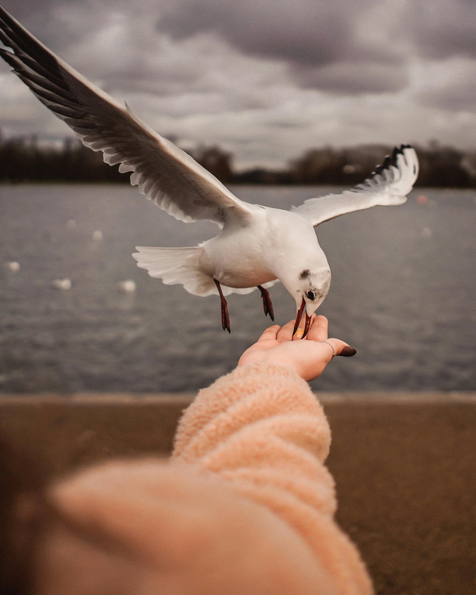 Quality Control Laboratory